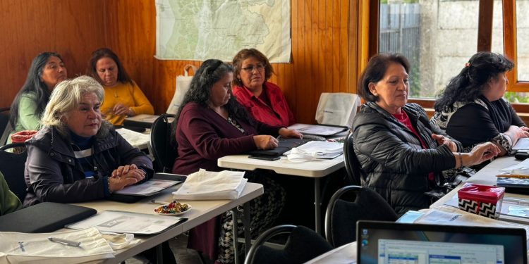 Edelaysen y Otec Tropilla impulsan curso de alfabetización digital en Coyhaique