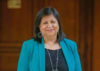 Tras lento cumplimiento del compromiso presidencial de pavimentación de Carretera Austral: Diputada Raphael citó al director de vialidad de la región