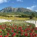 Empresa Coyhaiquina Platinium Flowers Reconocida por ProChile por 20 Años de Producción y Exportación de Flores