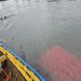 Rescate de Madre y Lactante Tras Volcamiento en Río Cisnes