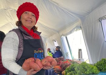 Feria de Emprendedoras en Coyhaique, colaboración público-privada