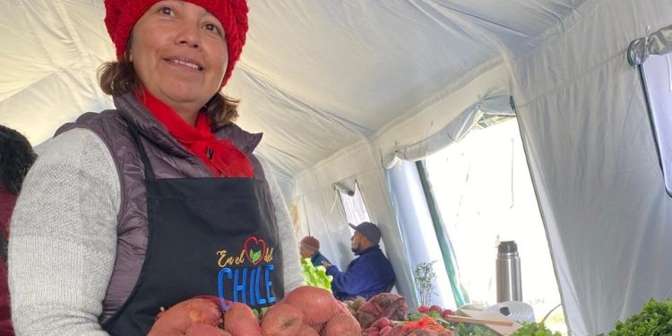 Feria de Emprendedoras en Coyhaique, colaboración público-privada