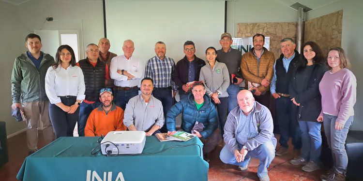 Corfo y Oleotop Impulsan Cultivos Sostenibles en el Extremo Sur de Chile