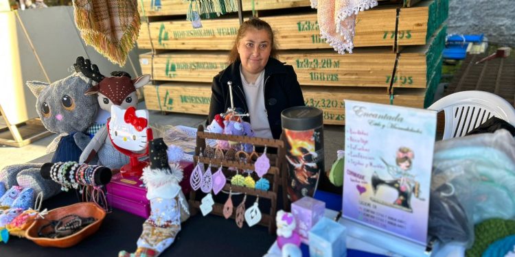 Durante el pasado fin de semana, 23 mujeres dieron vida a la primera Feria de Mujeres Emprendedoras 2024 en Coyhaique