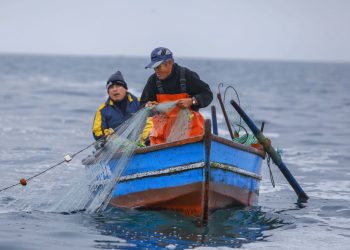 Capacitación y Apoyo Económico Impulsan a Pescadores Artesanales en Aysén