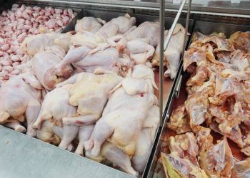 Pago de Compensación por Colusión del Pollo Beneficia a 956 Personas en la Región de Aysén
