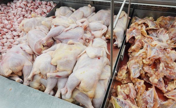 Pago de Compensación por Colusión del Pollo Beneficia a 956 Personas en la Región de Aysén