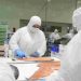 El Salmón se consolida como el segundo producto más exportado entre enero y noviembre de 2024