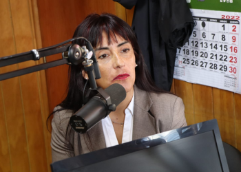 ANEF Aysén denuncia persecución política tras desvinculación de periodista Paulina Schwaner