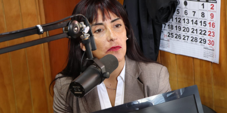 ANEF Aysén denuncia persecución política tras desvinculación de periodista Paulina Schwaner