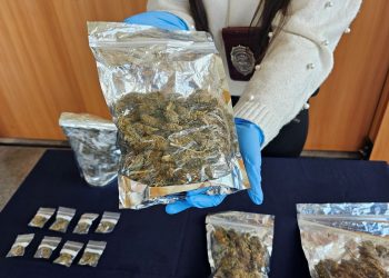 Detienen a Menores Involucrados en Robo y Tráfico de Drogas en Coyhaique