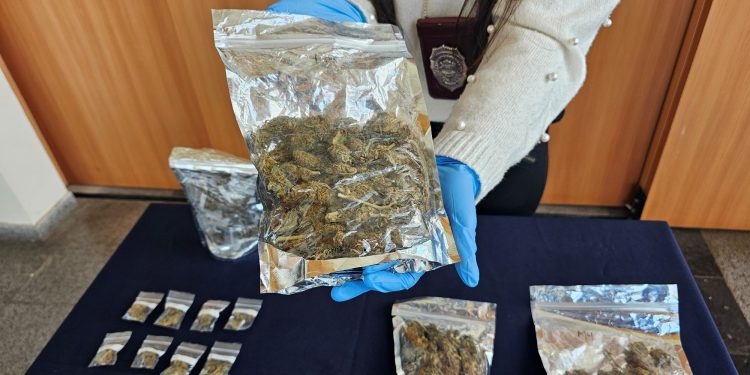Detienen a Menores Involucrados en Robo y Tráfico de Drogas en Coyhaique