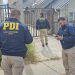 PDI investiga ataque con arma de fuego que dejó a joven herido en Coyhaique