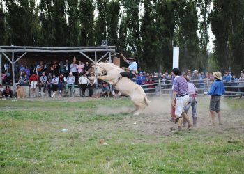 La Patagonia se Prepara para la 23ª Edición del Festival de Jineteadas en Puerto Ingeniero Ibáñez