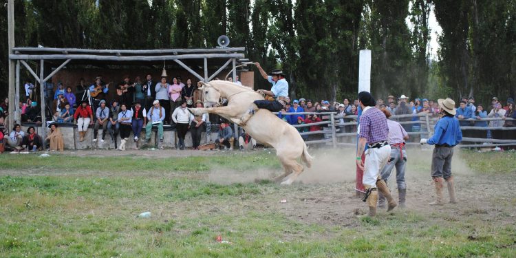 La Patagonia se Prepara para la 23ª Edición del Festival de Jineteadas en Puerto Ingeniero Ibáñez