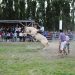 La Patagonia se Prepara para la 23ª Edición del Festival de Jineteadas en Puerto Ingeniero Ibáñez