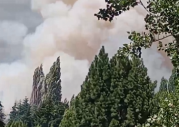 Incendio forestal en sector Los Chochos moviliza a equipos de emergencia en Coyhaique