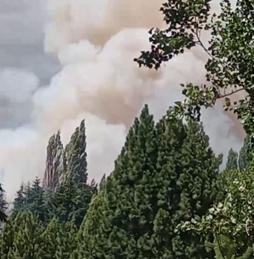 Incendio forestal en sector Los Chochos moviliza a equipos de emergencia en Coyhaique