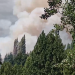 Incendio forestal en sector Los Chochos moviliza a equipos de emergencia en Coyhaique