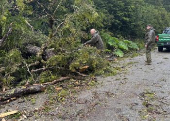 Carabineros despliega operativos para despejar vías tras fuerte viento en la región de Aysén
