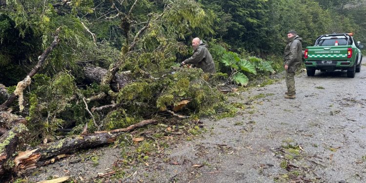 Carabineros despliega operativos para despejar vías tras fuerte viento en la región de Aysén