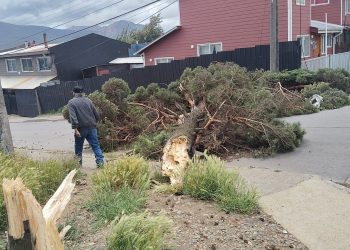 Fuertes vientos azotan la región de Aysén y provocan cortes de energía, suspensión de navegación y daños menores