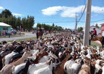 Río Ibáñez se prepara para la tercera versión del Festival Chivero