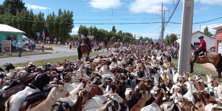 Río Ibáñez se prepara para la tercera versión del Festival Chivero