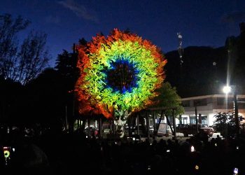 Árbol parlante cautiva a Puerto Aysén con mensaje ambiental en una mágica obra de video mapping
