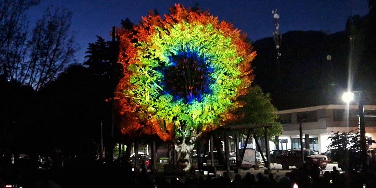 Árbol parlante cautiva a Puerto Aysén con mensaje ambiental en una mágica obra de video mapping