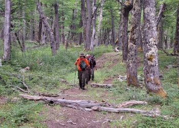 Excursionista francés es rescatado en el Parque Nacional Cerro Castillo gracias a señal SOS