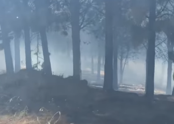 Incendio forestal en Salto Chico es controlado tras arduo trabajo de brigadas de CONAF y Bomberos de Coyhaique