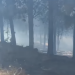 Incendio forestal en Salto Chico es controlado tras arduo trabajo de brigadas de CONAF y Bomberos de Coyhaique