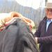 Eligio Montecinos regresa al CORE con la promesa de reactivar el desarrollo y honrar la confianza popular