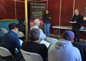 Vecinos de Isla Huichas finalizan con éxito curso de instalaciones eléctricas domiciliarias
