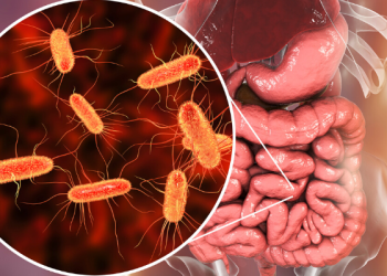 Aumentan enfermedades gastrointestinales en verano: llaman a reforzar la prevención
