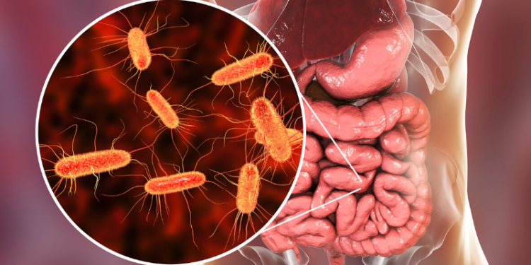 Aumentan enfermedades gastrointestinales en verano: llaman a reforzar la prevención