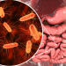 Aumentan enfermedades gastrointestinales en verano: llaman a reforzar la prevención