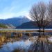 Pronóstico Meteorológico para la Región de Aysén: Fin de Semana con Temperaturas Variables y Lluvias Aisladas