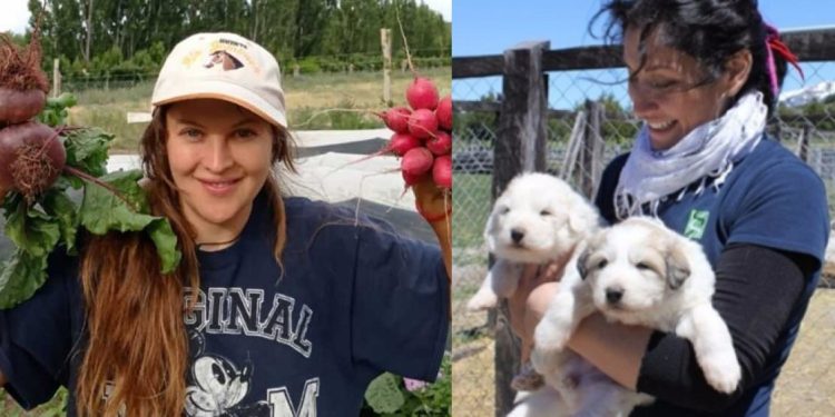 Mujeres agroinnovadoras de Aysén destacan a nivel nacional en el programa Red MAI