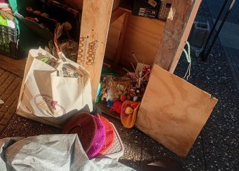 Locatarias de AG Arte Patagonia sufren vandalismo y robo en la Plaza de Armas de Coyhaique