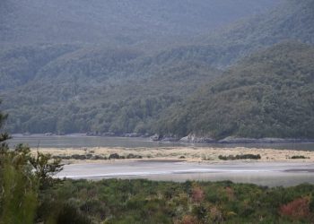 Concluye con éxito proyecto arqueológico en Raúl Marín Balmaceda