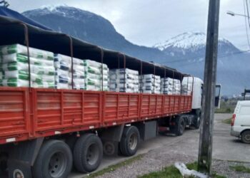 Detienen a dos sujetos por robo en camión en Puerto Aysén