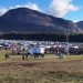 Presentan la parrilla artística de la Expo Patagonia de Coyhaique
