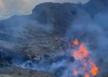 Alerta Roja en Chile Chico por incendio forestal: SENAPRED ordena evacuación en Fachinal