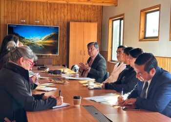 Mesa Intersectorial refuerza apoyo a mujeres privadas de libertad embarazadas y con hijos lactantes en Aysén