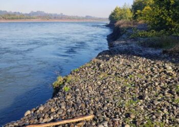 Denuncia del año 2023 por descarga de aguas servidas en el río Coyhaique, se mantiene sin resultados