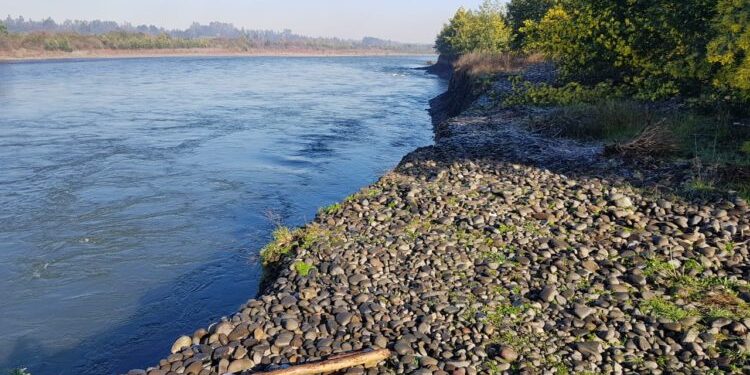 Denuncia del año 2023 por descarga de aguas servidas en el río Coyhaique, se mantiene sin resultados