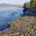 Denuncia del año 2023 por descarga de aguas servidas en el río Coyhaique, se mantiene sin resultados