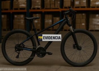 Puerto Aysén: PDI alerta aumento en robo de bicicletas